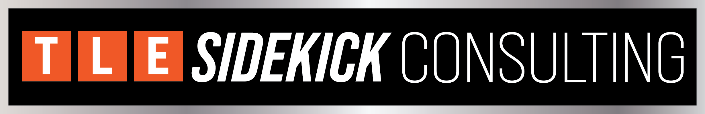 TLE Sidekick Consulting Logo for entrepreneurial learning company.