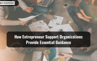 Entrepreneur Support Organizations