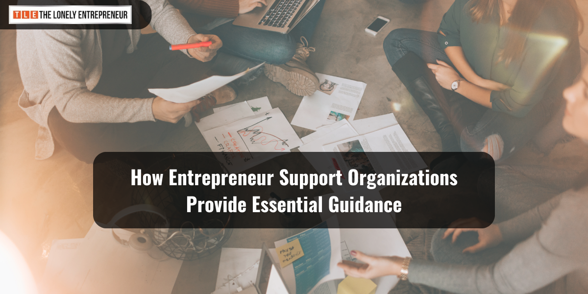 Entrepreneur Support Organizations