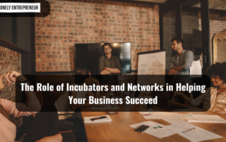 Role of Incubators and Networks